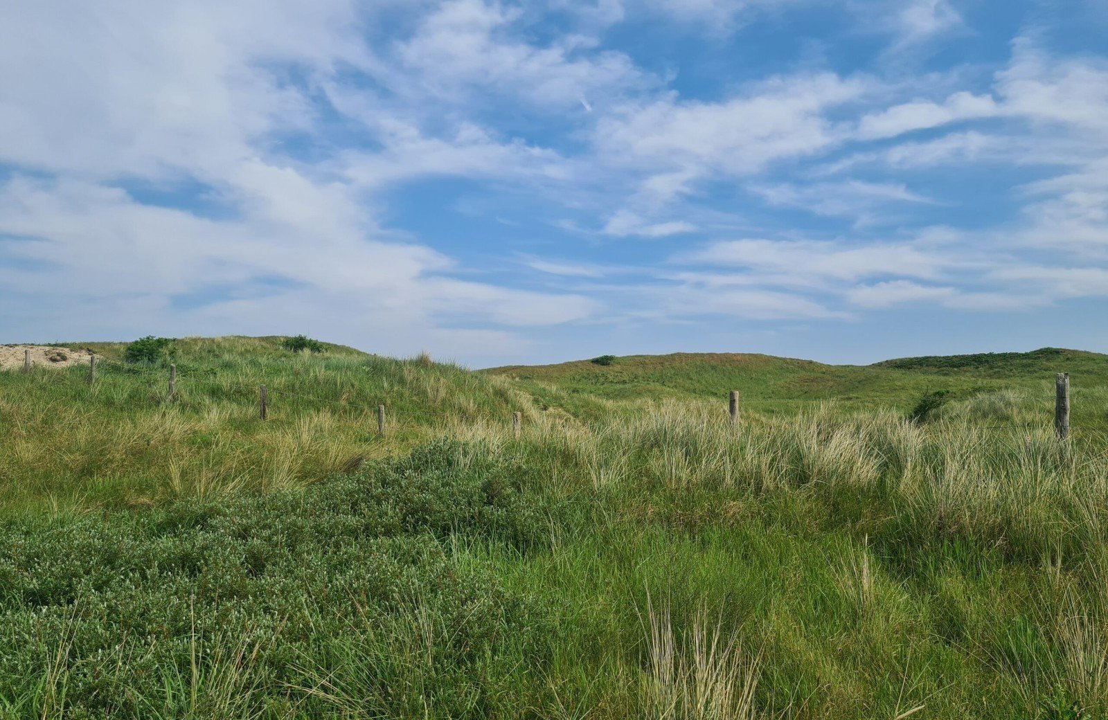 20240524 110217 68e6569a1e83f