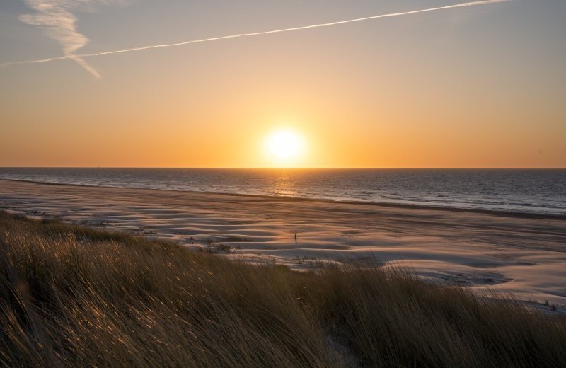 A real breath of fresh air