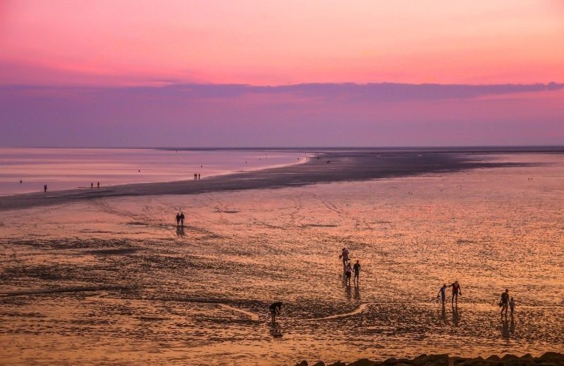 Explore the mudflats